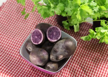 Kartoffel'Blauer Schwede'Verfügbar: Anfang Sep bis Ende Feb