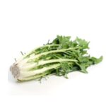 PuntarellaHerkunft: Italien