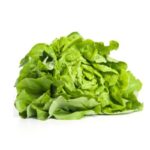 KopfsalatHerkunft: Belgien