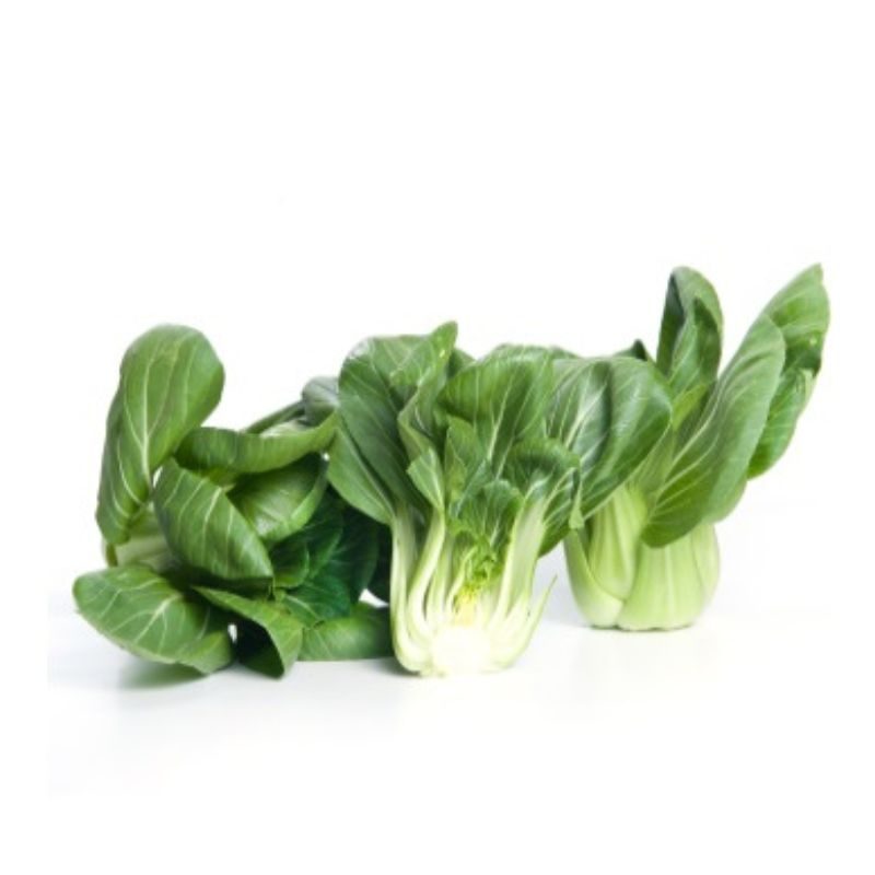 Pak ChoyHerkunft: Niederlande