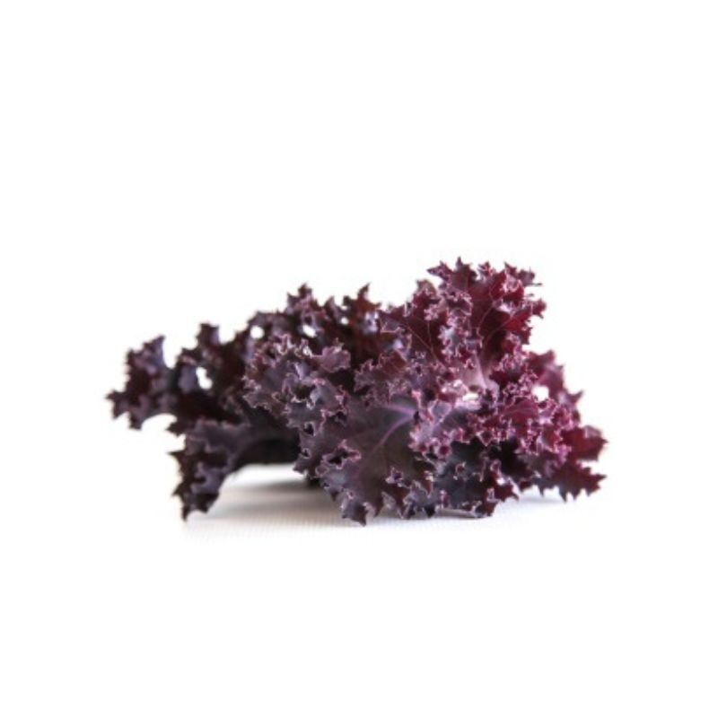 FederkohlHerkunft: Aus der Region